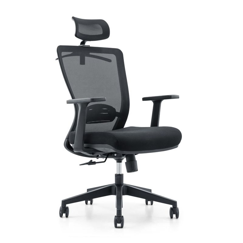 650*690*1150-1250mm Adjustable Luxury Office Chair with Mesh Fabric and Fixed Armrest