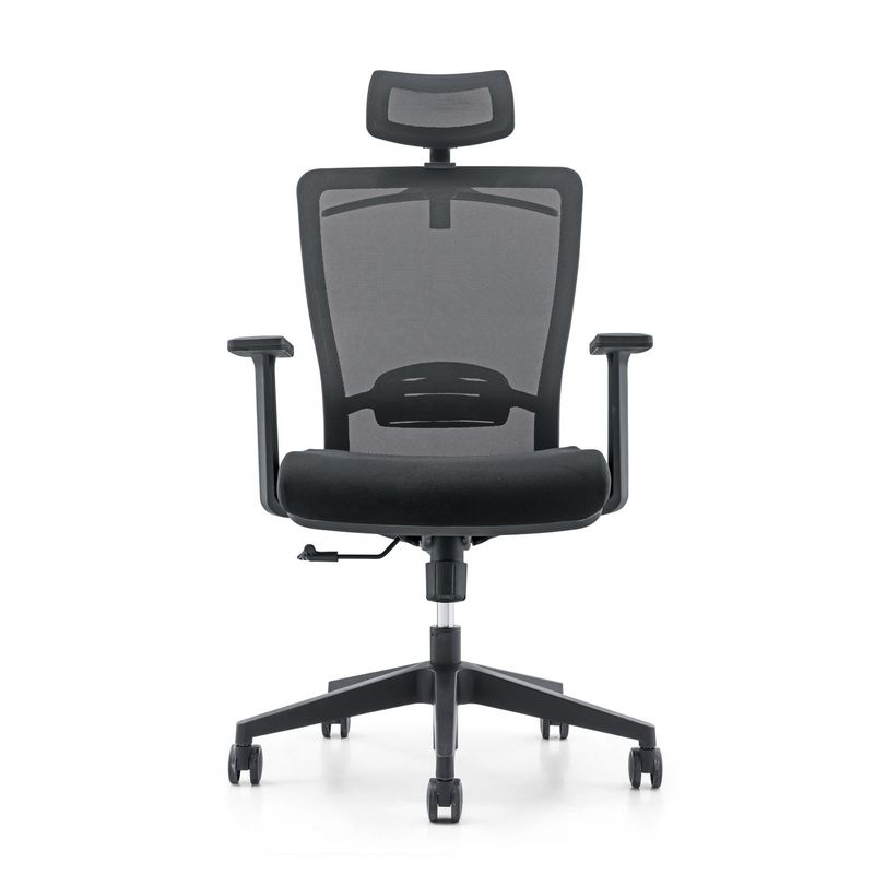 650*690*1150-1250mm Adjustable Luxury Office Chair with Mesh Fabric and Fixed Armrest