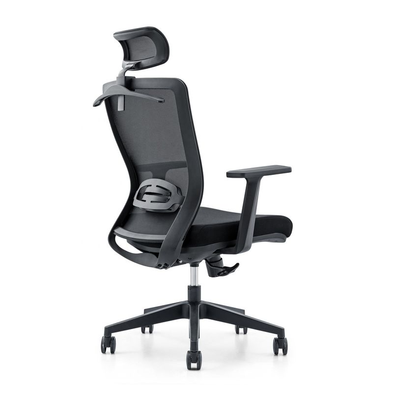 650*690*1150-1250mm Adjustable Luxury Office Chair with Mesh Fabric and Fixed Armrest