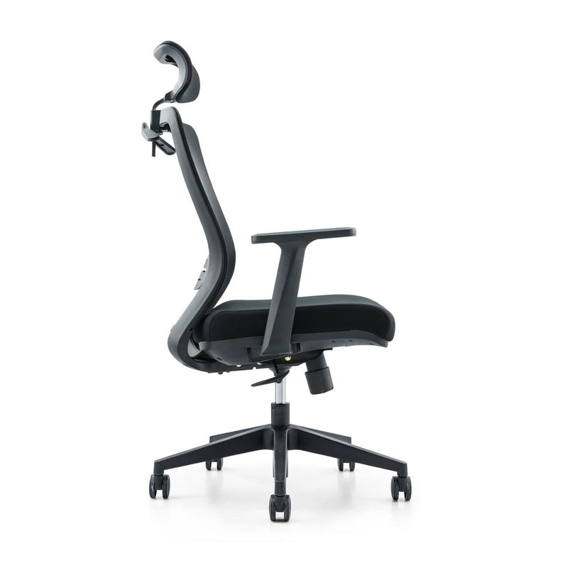 650*690*1150-1250mm Adjustable Luxury Office Chair with Mesh Fabric and Fixed Armrest